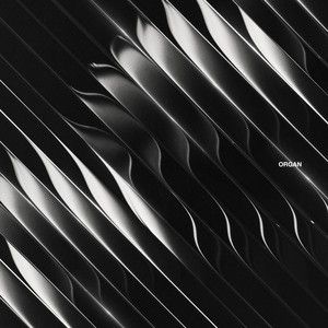 Dimension - Organ 2LP