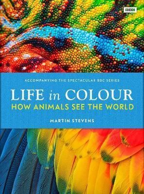 Life in Colour