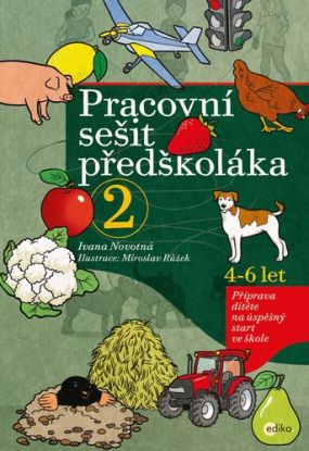 Pracovní sešit předškoláka 2, 2. vydání