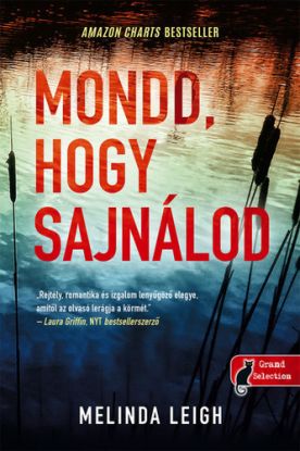 Morgan Dane 1: Mondd, hogy sajnálod