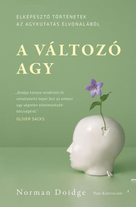 A változó agy