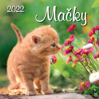 Nástenný kalendár Mačky 2022
