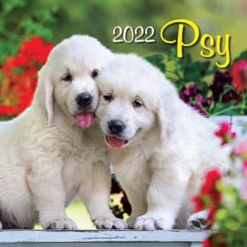 Nástenný kalendár Psy 2022