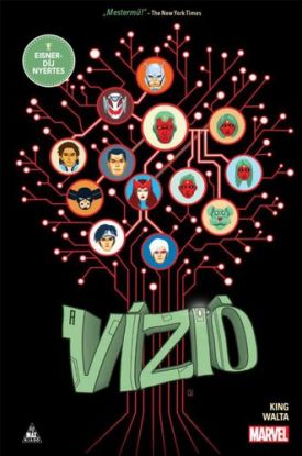 A Vízió