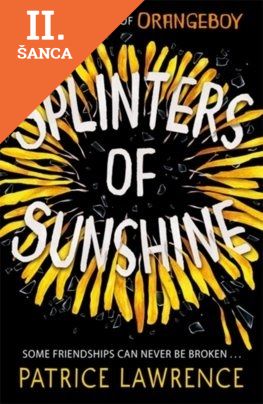 Lacná kniha Splinters of Sunshine