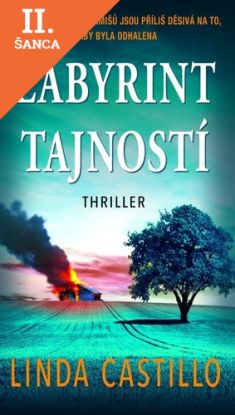 Lacná kniha Labyrint tajností