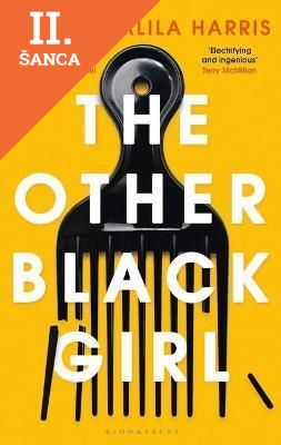 Lacná kniha The Other Black Girl