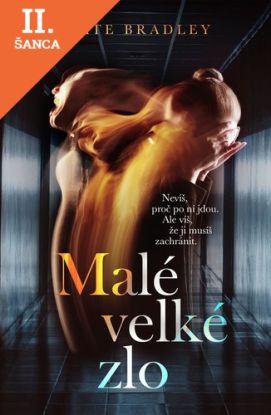 Lacná kniha Malé velké zlo