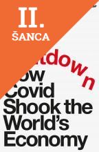 Lacná kniha Shutdown