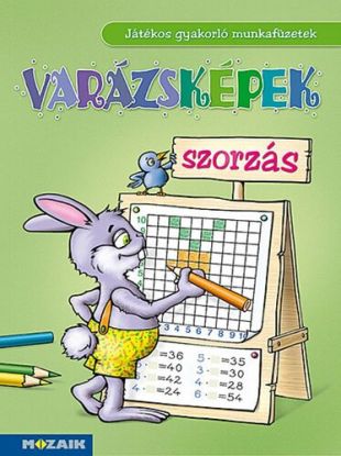 Varázsképek - Játékos szorzásgyakorló 2-4.o. (MS-1551)