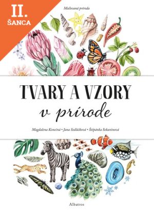 Lacná kniha Maľovaná príroda: Tvary a vzory v prírode