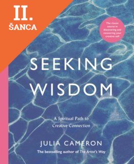 Lacná kniha Seeking Wisdom