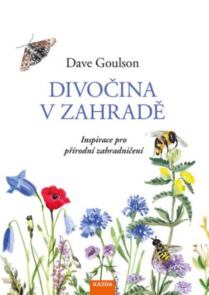 Divočina v zahradě