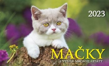 Stolový kalendár Mačky 2023