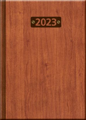 Praktik denný diár WOOD 2023