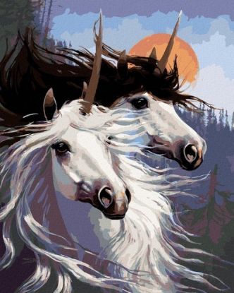 Maľovanie podľa čísel Pár jednorožcov (Northern Promotions) 40x50cm Zuty