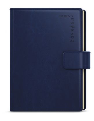 Denný diár Ctirad 2023 s výsekom Manager A5 modrá, 143 x 205 mm