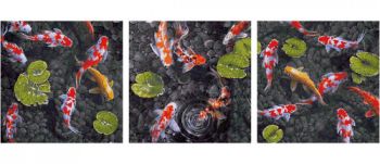 Maľovanie podľa čísel Koi - drahokamy v rybníku (40x120 cm) Schipper