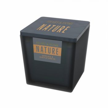 Sviečka NATURE Vanilka & svetlé drevo, 210g