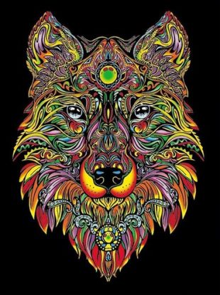 Colorvelvet zamatový obrázok Vlk A4