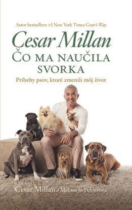 Čo ma naučila svorka