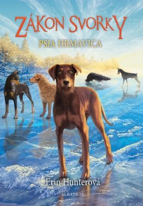Zákon svorky 6: Psia hrmavica