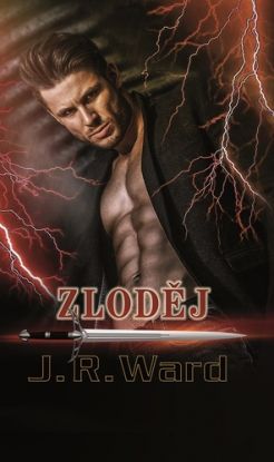 Bratrstvo černé dýky 16 - Zloděj