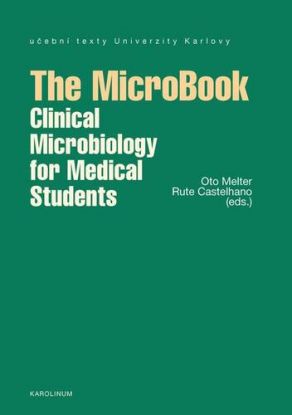The MicroBook