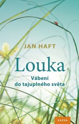 Louka