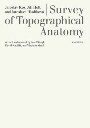 Survey of Topographical Anatomy