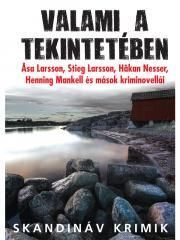 Valami a tekintetében