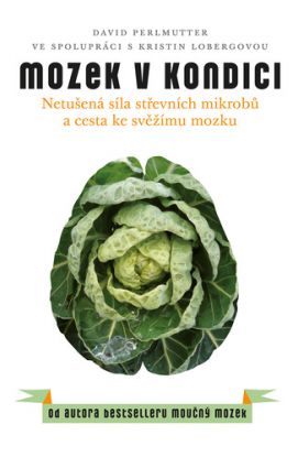 Mozek v kondici