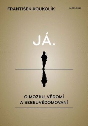Já. O mozku, vědomí a sebeuvědomování