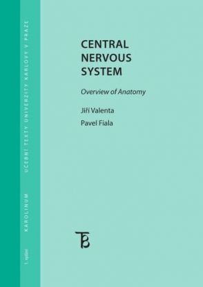 Central Nervous System