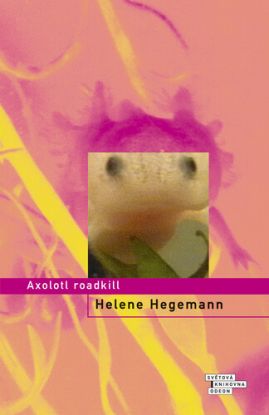 Axolotl roadkill