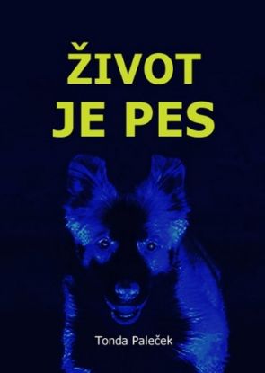 Život je pes