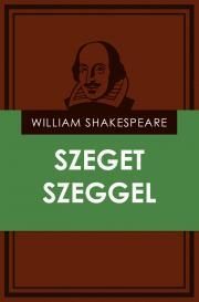 Szeget szeggel