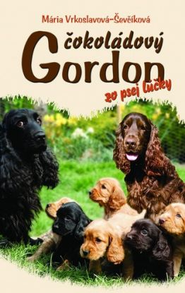 Čokoládový Gordon zo psej lúčky