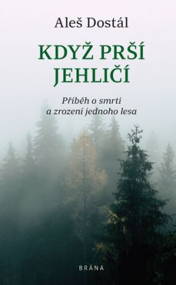 Když prší jehličí