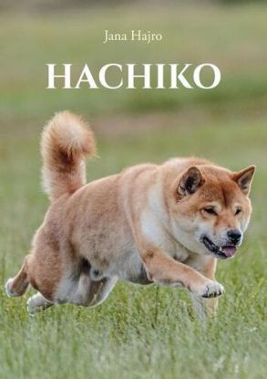 Hachiko, najvernejší pes na svete