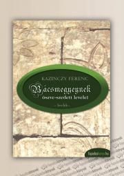 Bácsmegyeynek öszve-szedett levelei, Bácsmegyeinek gyötrelmei