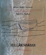 Hullámzónában