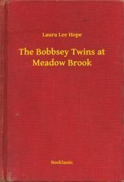 The Bobbsey Twins at Meadow Brook