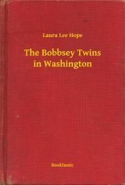 The Bobbsey Twins in Washington