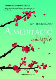 A meditáció művészete