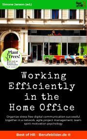 Working Efficiently in the Home Office