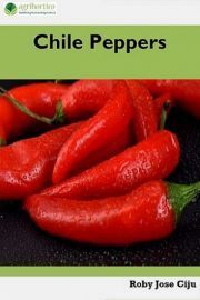 Chile Peppers