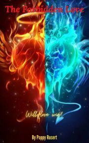 The Forbidden Love