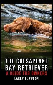 The Chesapeake Bay Retriever