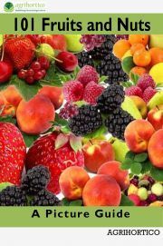 101 Fruits and Nuts